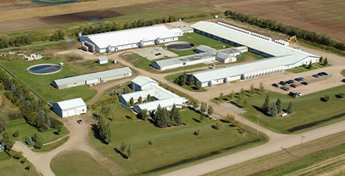 Picture of Prairie Swine Centre